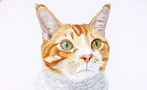 62 Lifelike Pet Portraits That I Create With The Help Of Embroidery