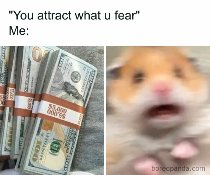 Stacks of money next to a blurry, shocked hamster, highlighting a funny money meme.