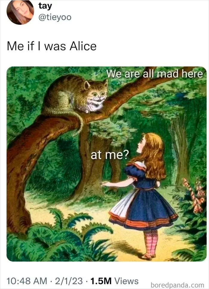 “Sometimes Laughter Really Is The Best Medicine”: 50 Hilariously Accurate Memes About Mental Health, As Shared By This Page