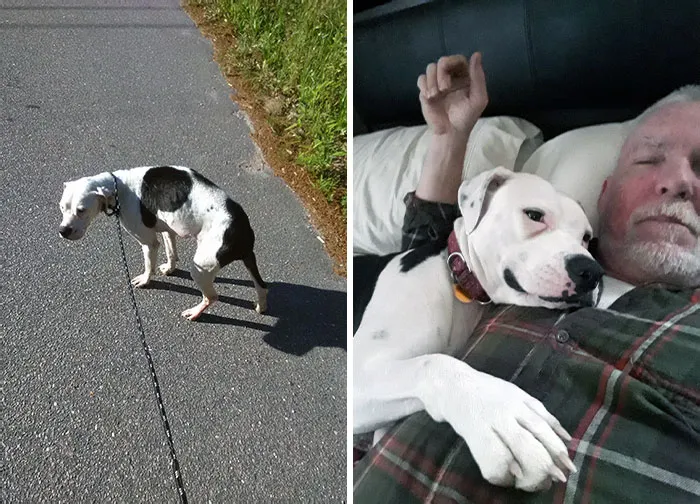 Meet Grendel. She Wandered Into My Campsite 5 Years Ago. Now We Have A Home, And She's Fat And Happy