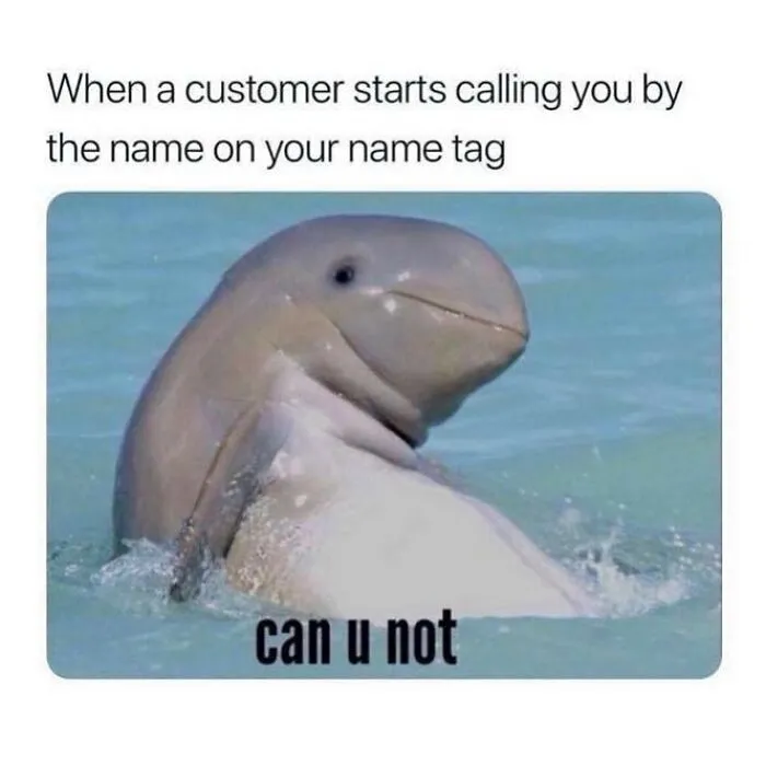 Dolphin meme about customers using your name tag, humorous retail struggles.
