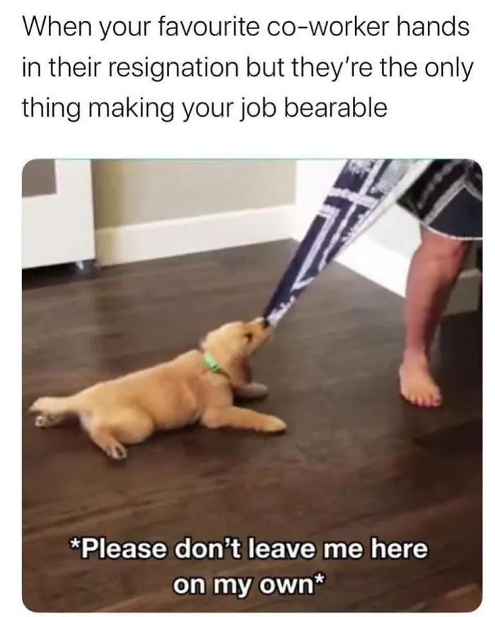 50 Hilarious Memes For Those That Know The Struggle Of Working In Retail (New Posts)