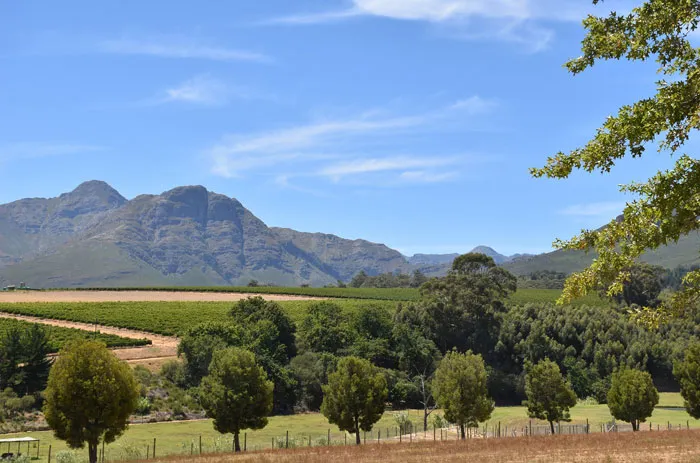 Cape Winelands, South Africa