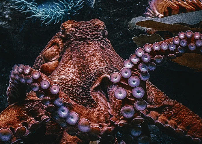 Someone Asks What The Scariest Thing Science Has Proven To Be Real Is, And People Deliver 30 Of The Most Chilling Answers