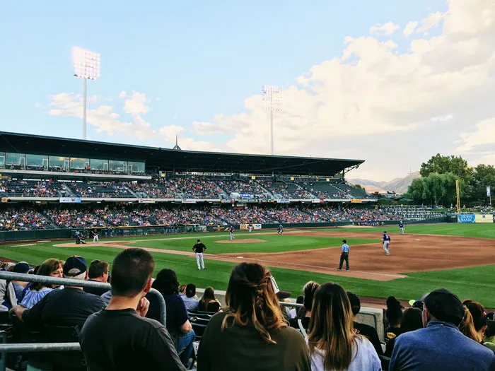 Attend The Opening Day Of A Baseball Game
