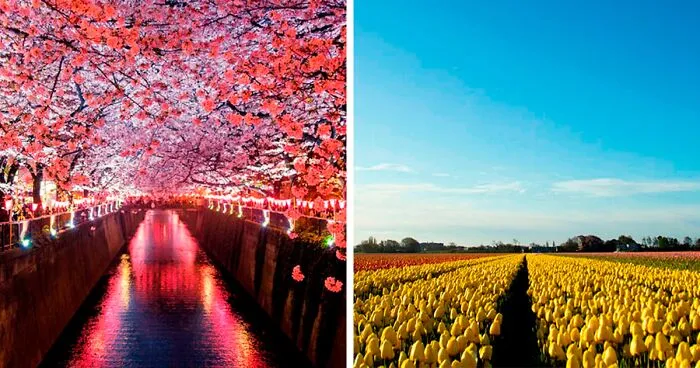 50 Picture-Perfect Spring Destinations That Are Best Visited Around This Time