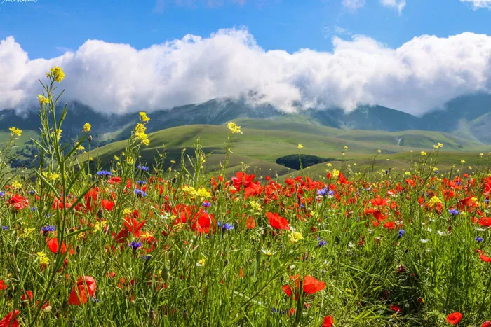 Castelluccio, Umbria, Italy