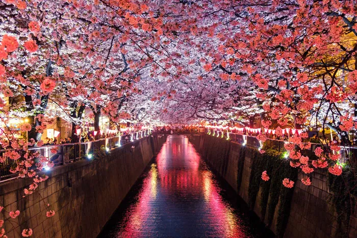 Fuji-Hakone-Izu National Park, Japan