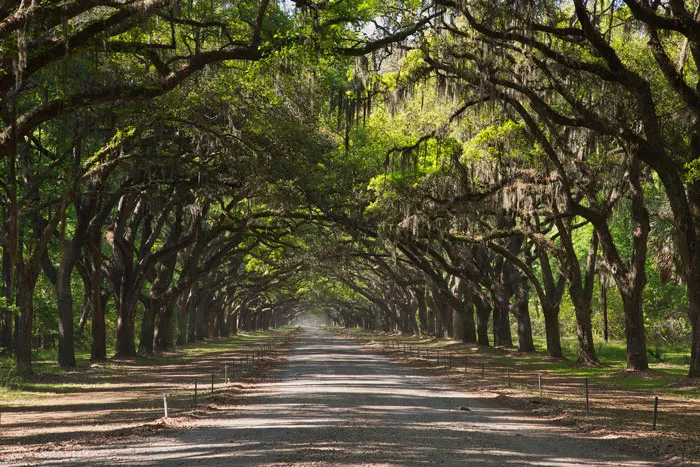 Savannah, Georgia