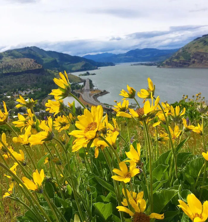 Columbia River Gorge, Pacific Northwest, USA