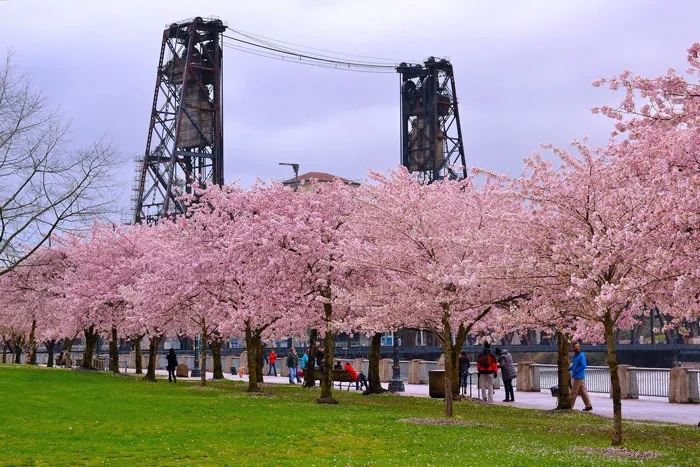 Portland, Oregon