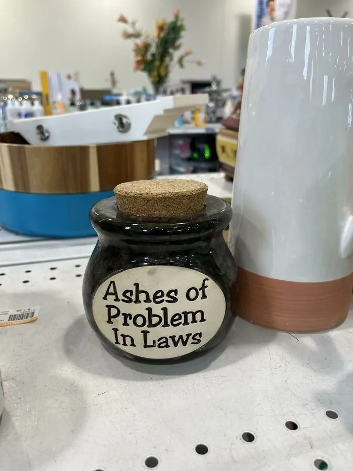 Who Needs Ashes Of Someone Else’s Problem In Laws? Goodwill, Clearwater Fl