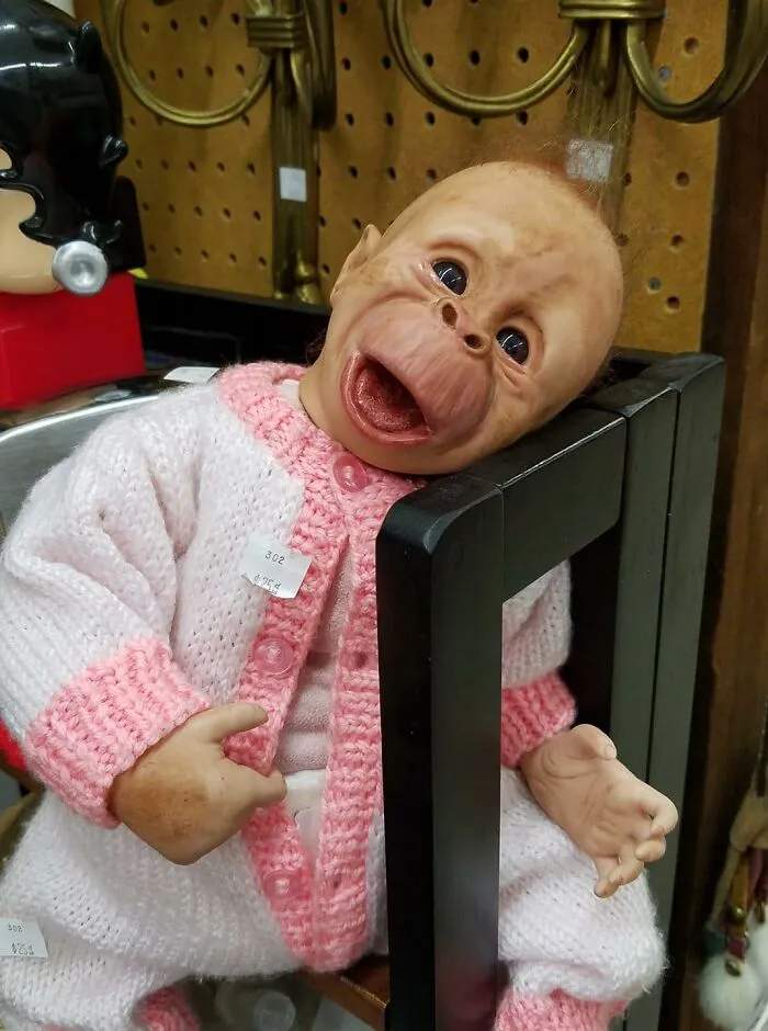 ¡Encontré esta joya en el sur de Oregón, Estados Unidos!