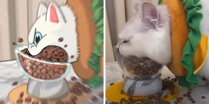 Funny Images Of Cats Found On The Internet Get Transformed Into Cute Illustrations By This Artist (31 Pics)