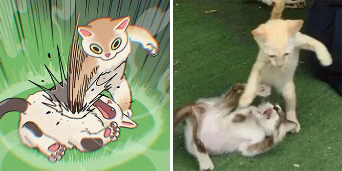 Funny Images Of Cats Found On The Internet Get Transformed Into Cute Illustrations By This Artist (31 Pics)