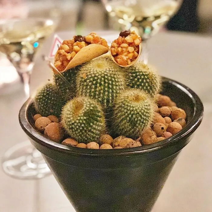 Tacos On Cactus