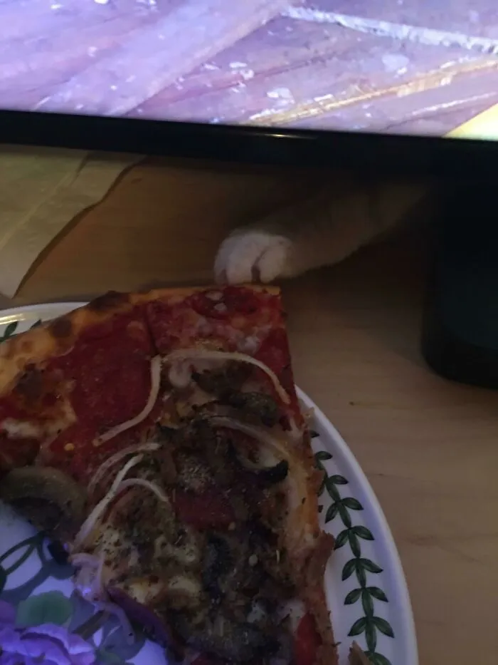 Pizza Crime In Progress