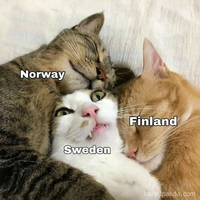 These 50 Posts About What Life In Norway Is All About May Make You Want To Pack Your Bags And Move