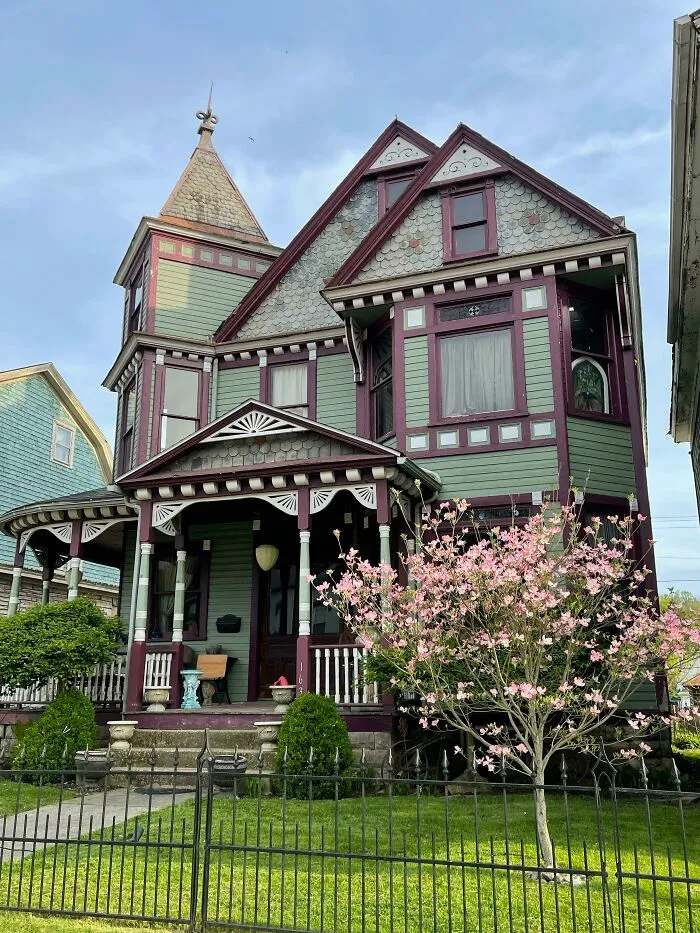 Dogwood In Bloom. This Is My 1895 Queen Anne Still Working On Restoring