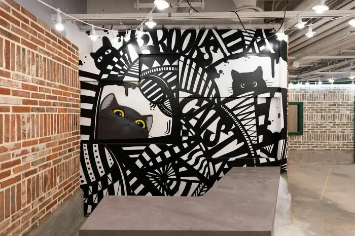 Creative Graffiti