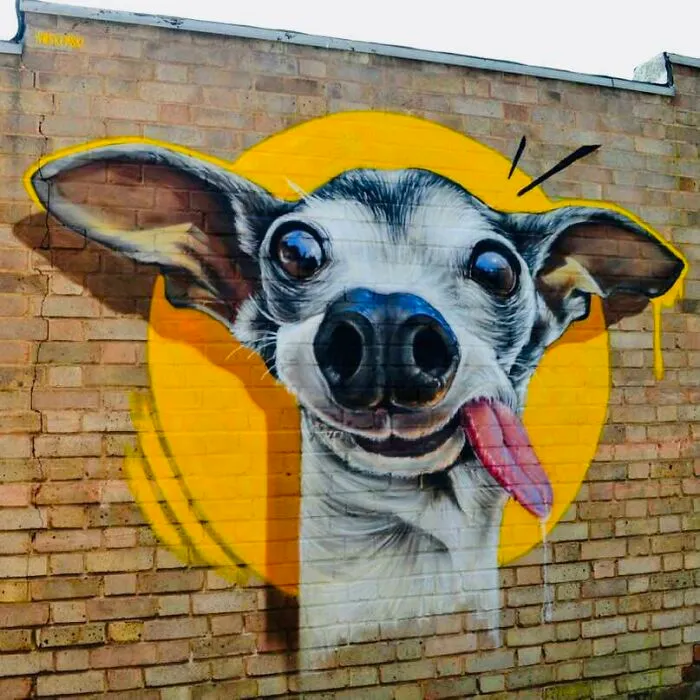 This Kind Of Graffiti