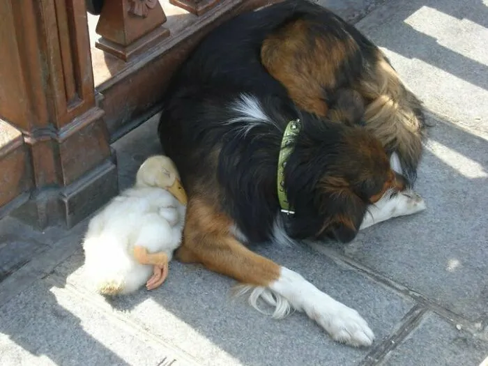 Two Buddies I Took A Picture Of In Paris