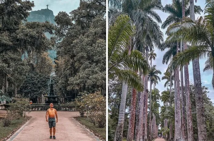 Jardim Botânico Do Rio De Janeiro - Rio De Janeiro, Brazil
