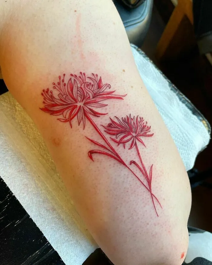 We Love A Red Flower