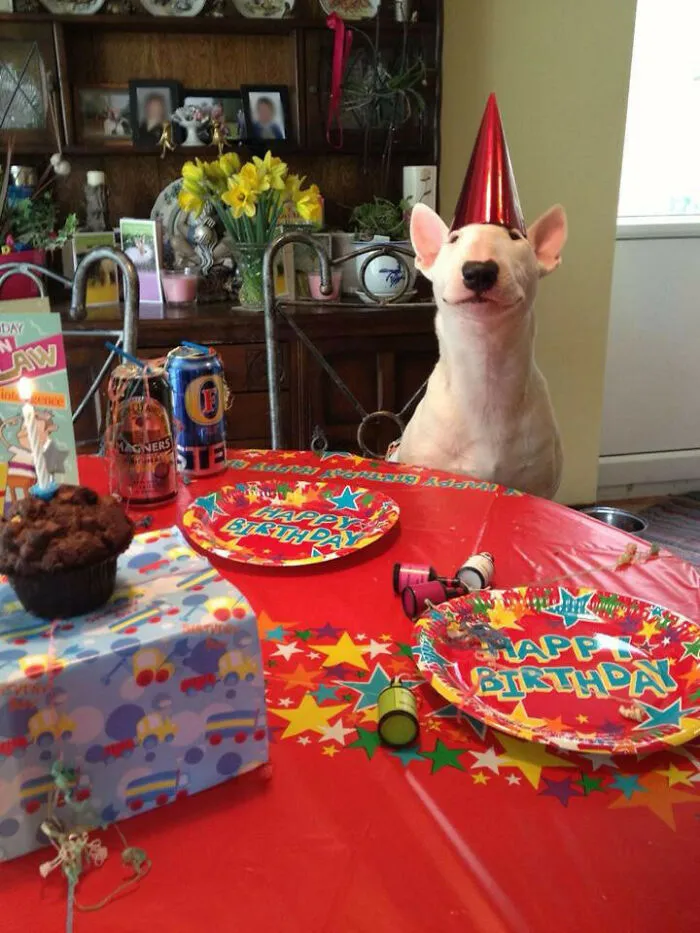 Party Time
