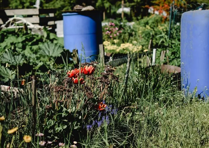 Green Garden 