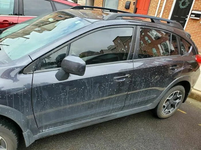 Si te preguntas por qué la ventanilla del conductor está limpia, es porque estaba bajada cuando el camión de al lado pasó por el charco