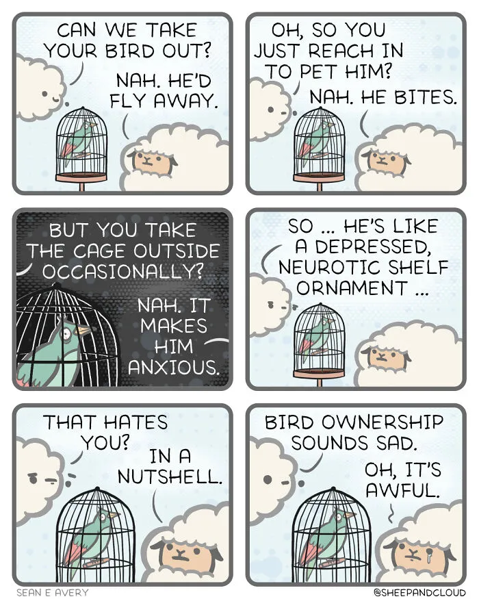 Bird Ownership