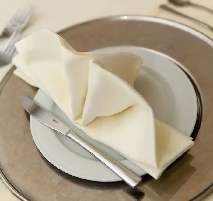 Nicely Presented Napkin 
