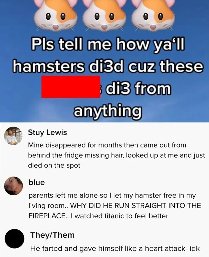 Cursed_hamster