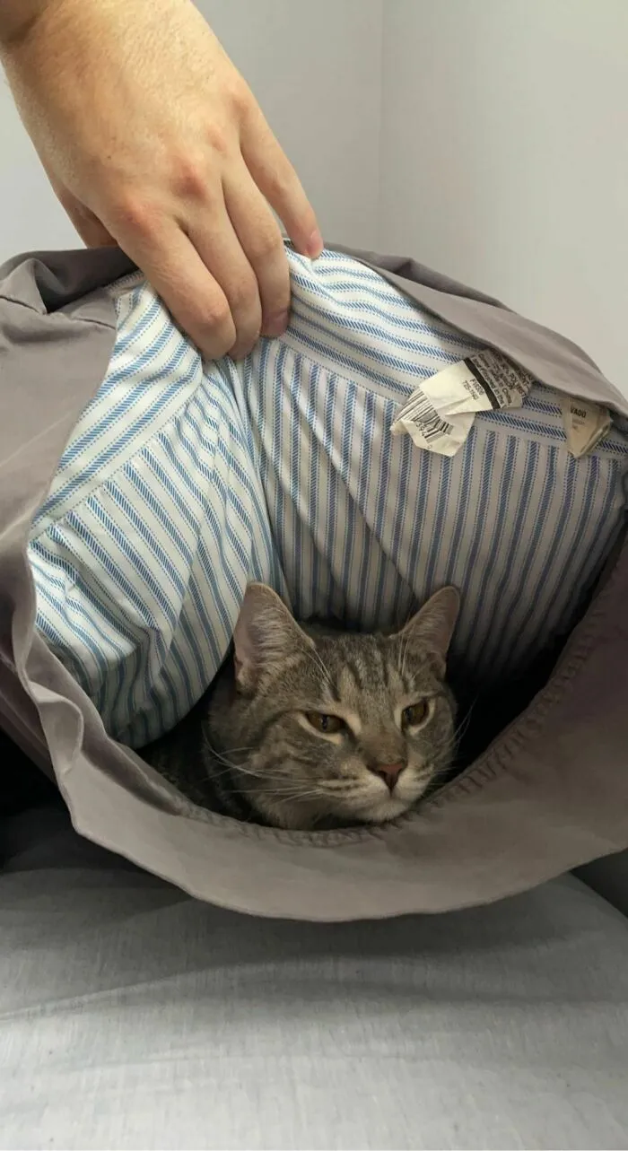 Mi almohada tenía bultos y hacía ruido