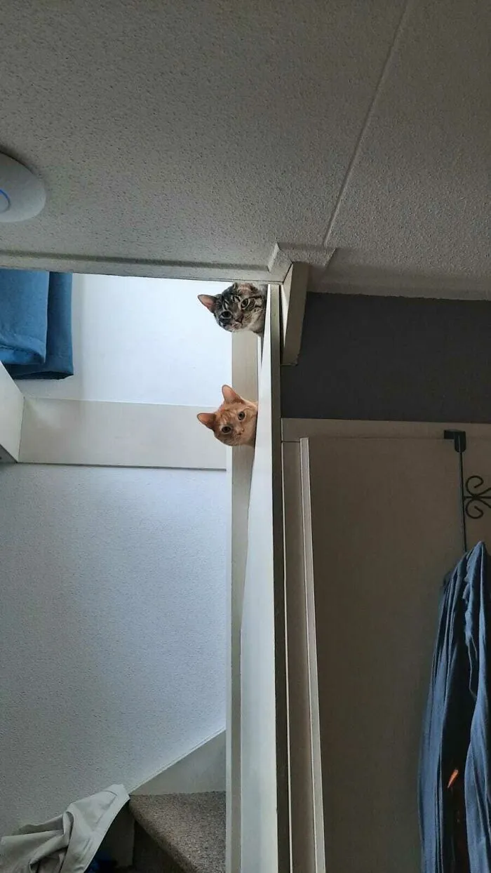 I Am Away For The Week And Our Pet Sitter Sent Me This