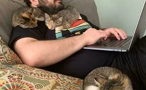 50 Times Cats Made Their Owners Laugh And They Just Had To Share Pics Online