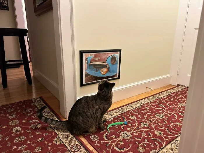 So Apparently In My Absence My Husband Has Hung Cat-Level Wall Art. So Sophisticated!