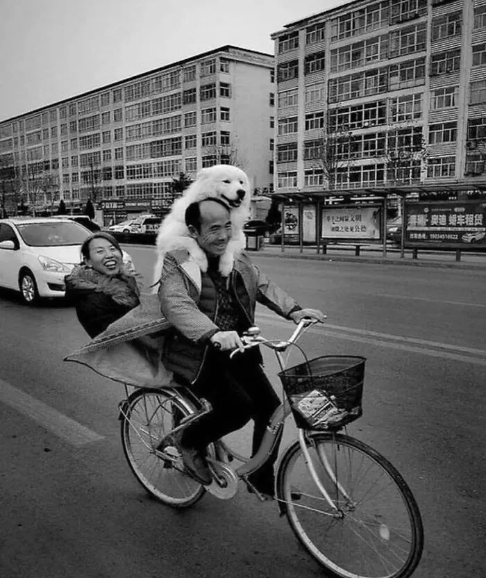 50 Geniales y entretenidas fotos urbanas compartidas en esta cuenta de Instagram