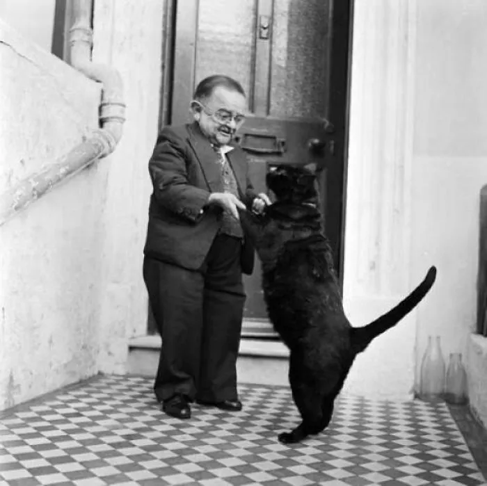 Man in a suit holding paws with a large black cat standing on its hind legs on a checkered floor, adorable cats.