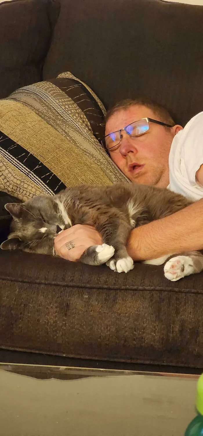 Man sleeping on a couch while holding one of the cutest cats ever, a gray and white cat cuddled peacefully.
