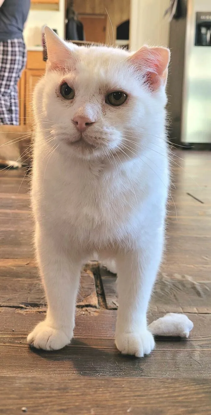 My Handsome Man Who Lived On The Streets For 4 Years, This Is Kenny