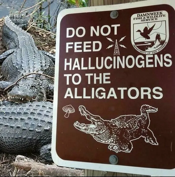 Classic Zoo Behavior