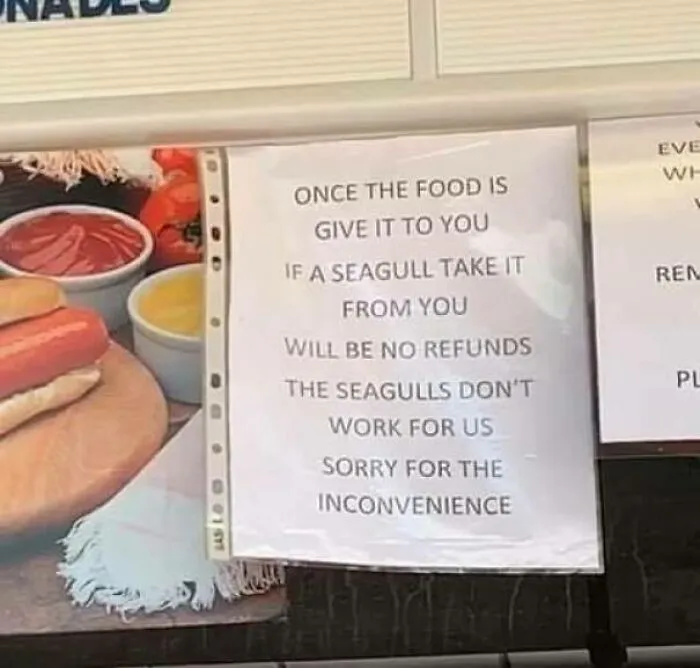 I'm Sorry, What Now?