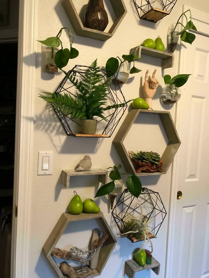 Plants on the wall 