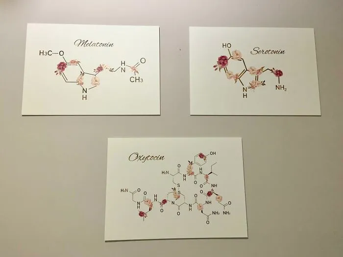 Ultra-Nerdy Version Of “Sleep, Play, Love”!