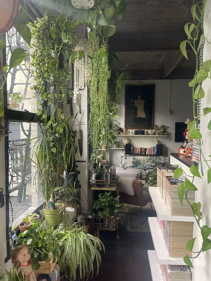 Invite Nature Indoors