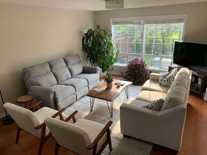 Modern home decoration with cozy sofas, indoor plants, and natural lighting.