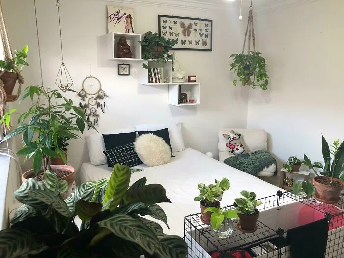 Add Greenery