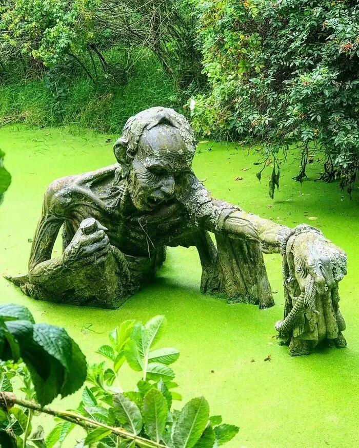 The Water Is Fine, Come On In